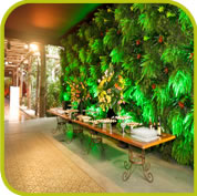 Executiva Eventos - Mix Garden